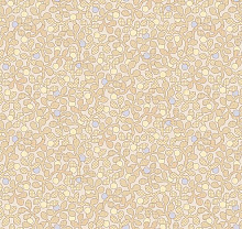 Loymina Origins ALS6, 002